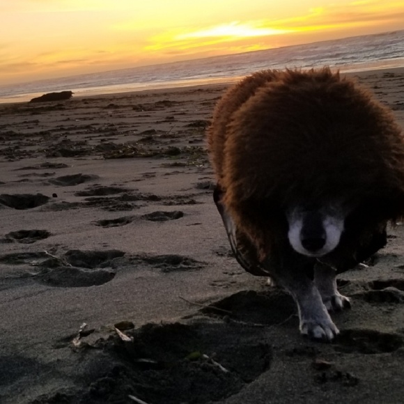 Meet your Posher, Me - Picture 5 of 8